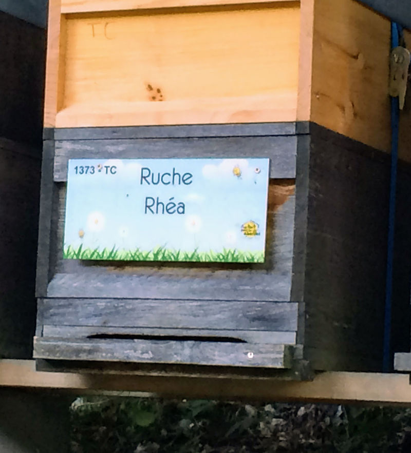 La ruche Rhéa