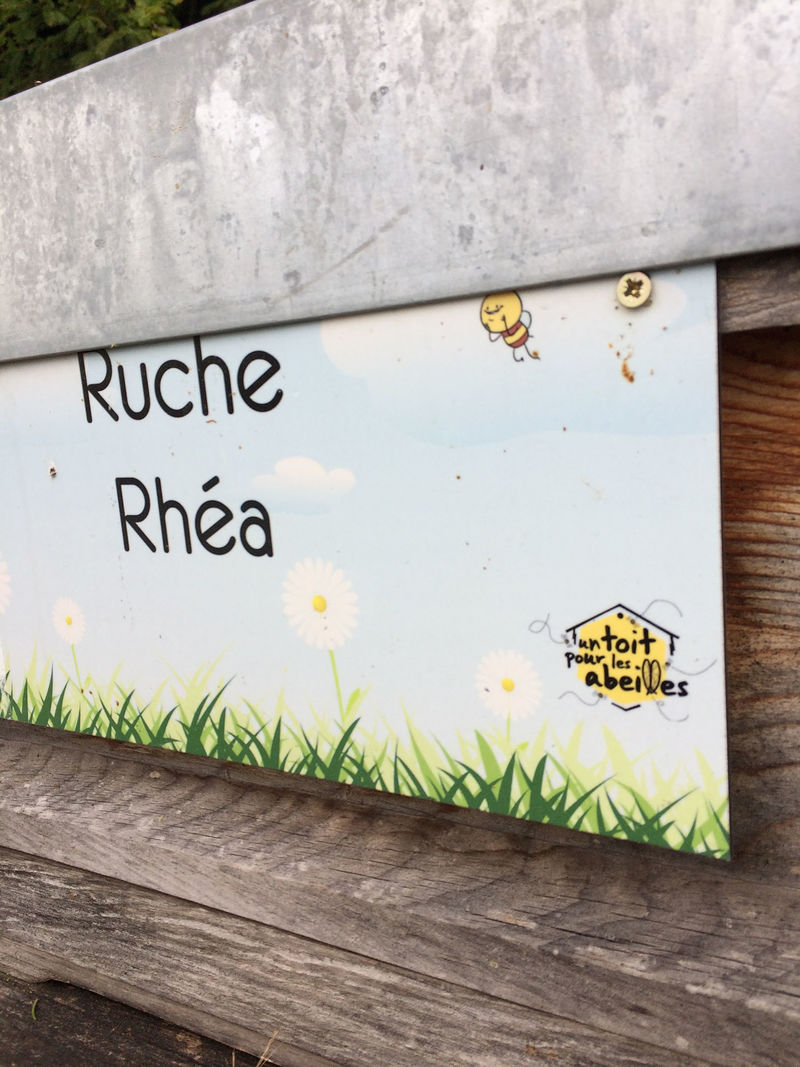 La ruche Rhéa