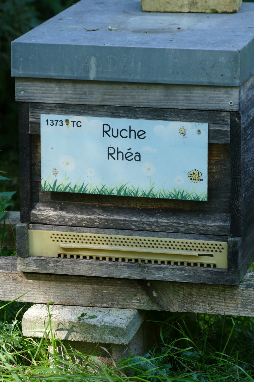 La ruche Rhéa