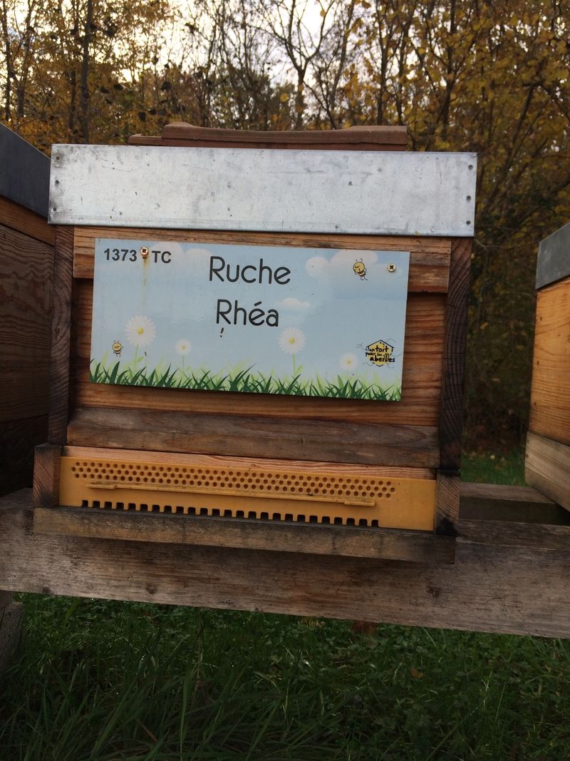 La ruche Rhéa