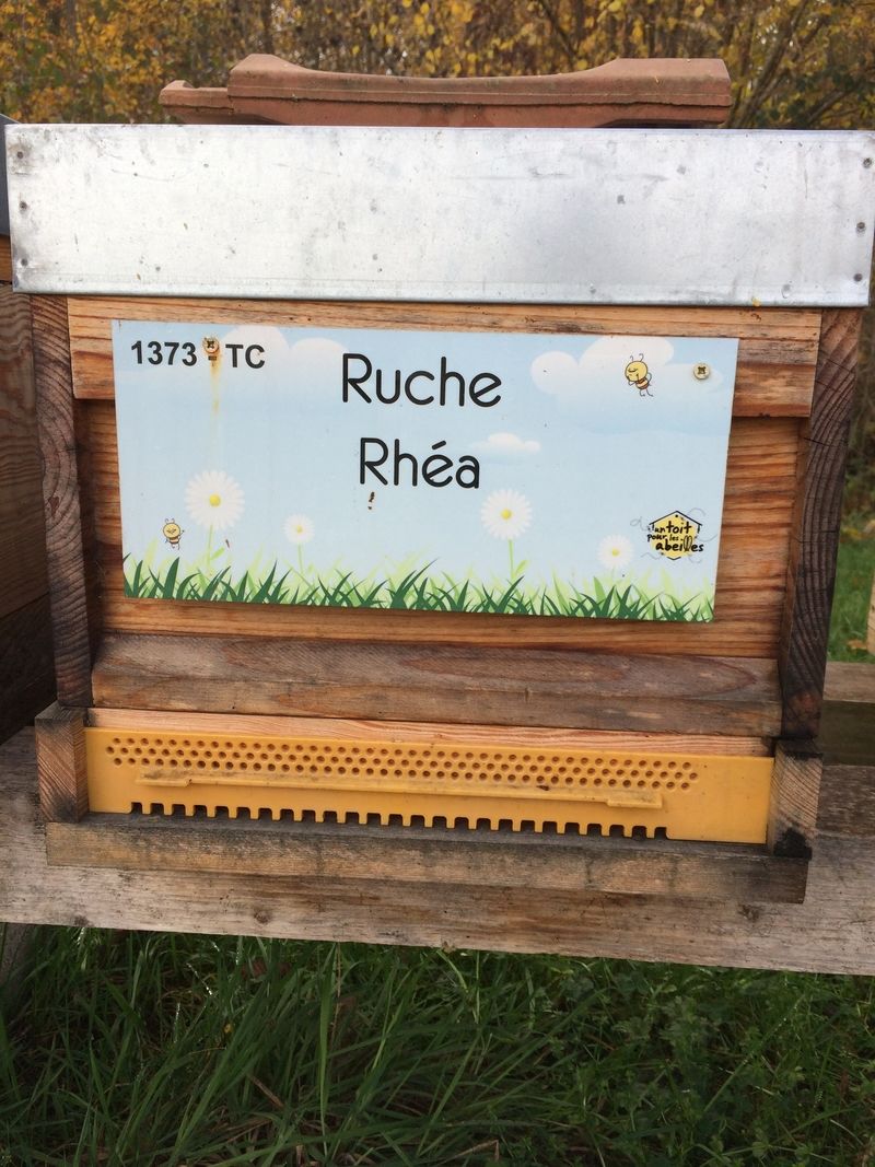 La ruche Rhéa