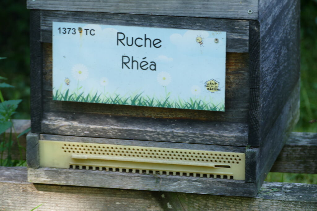La ruche Rhéa