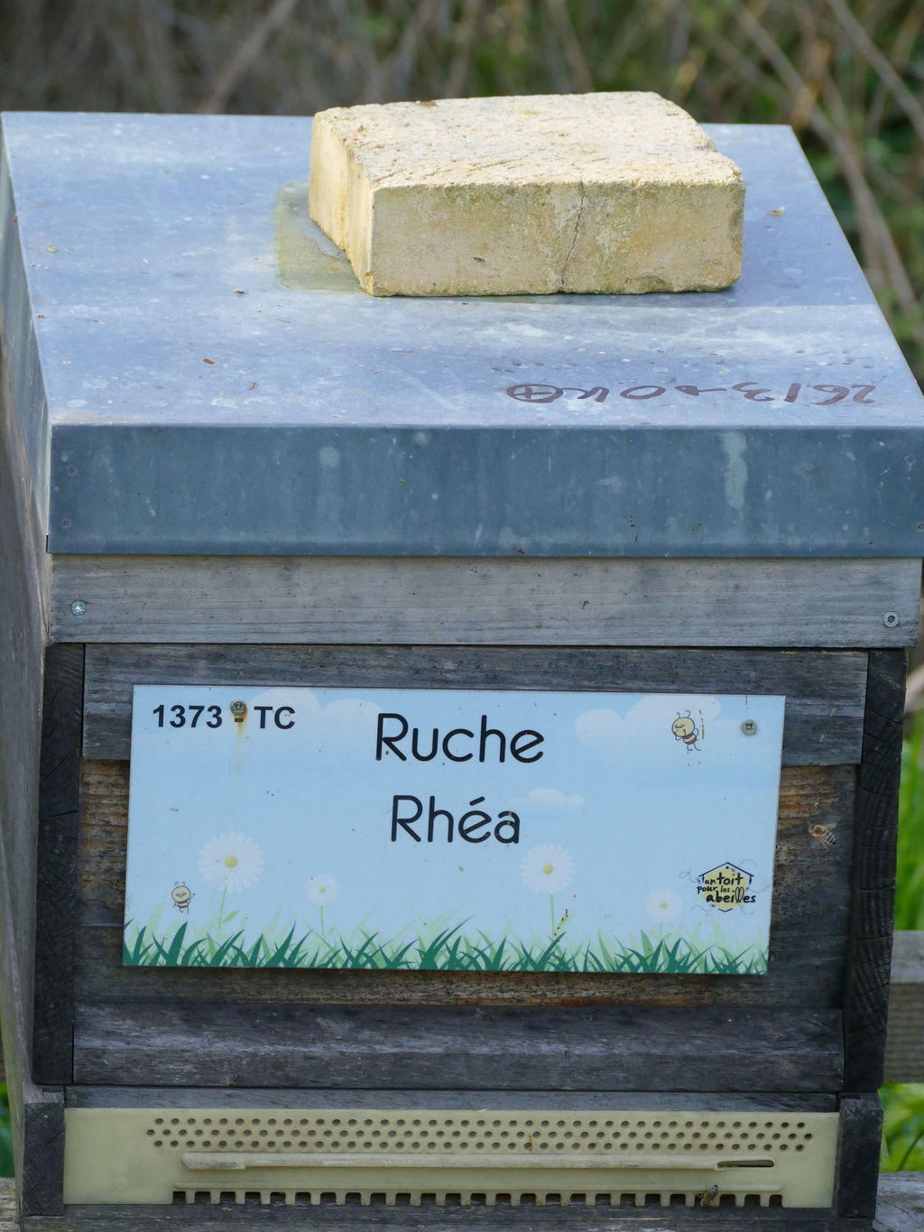 La ruche Rhéa