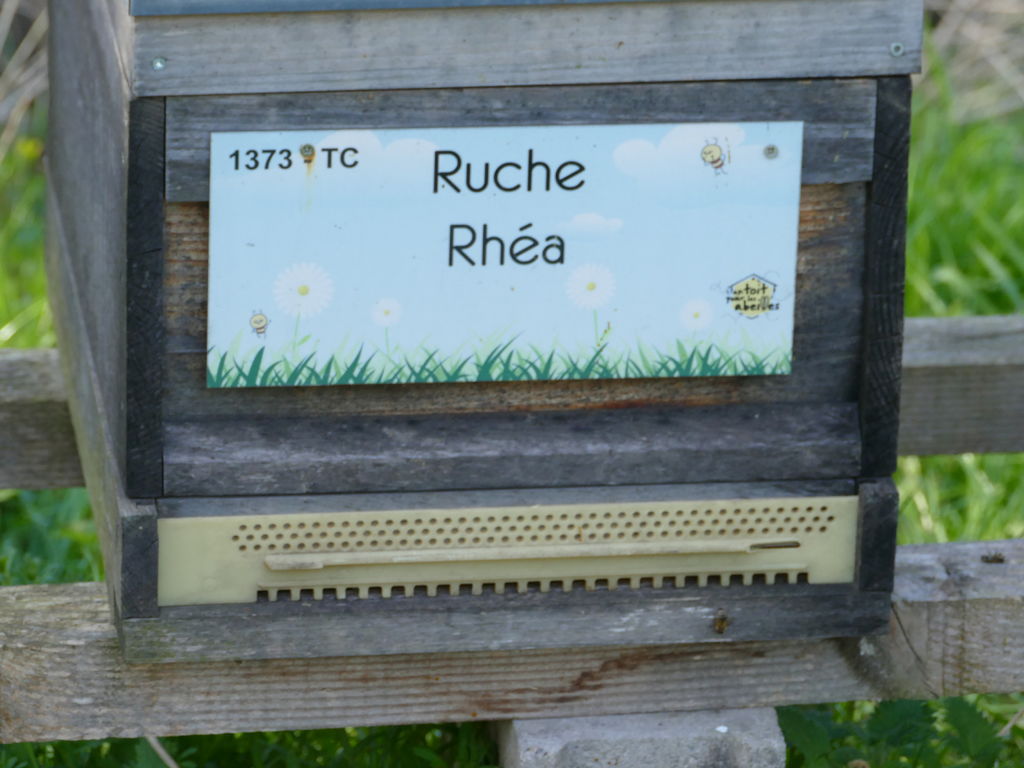La ruche Rhéa
