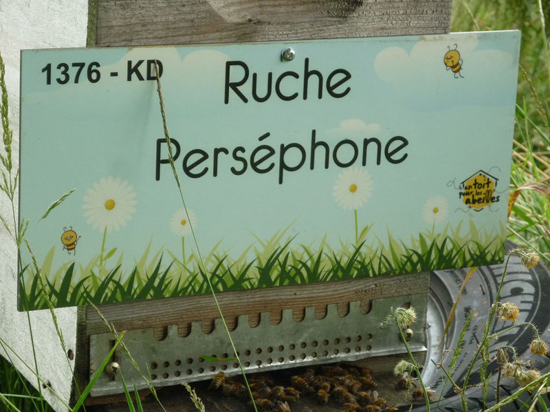 La ruche Perséphone
