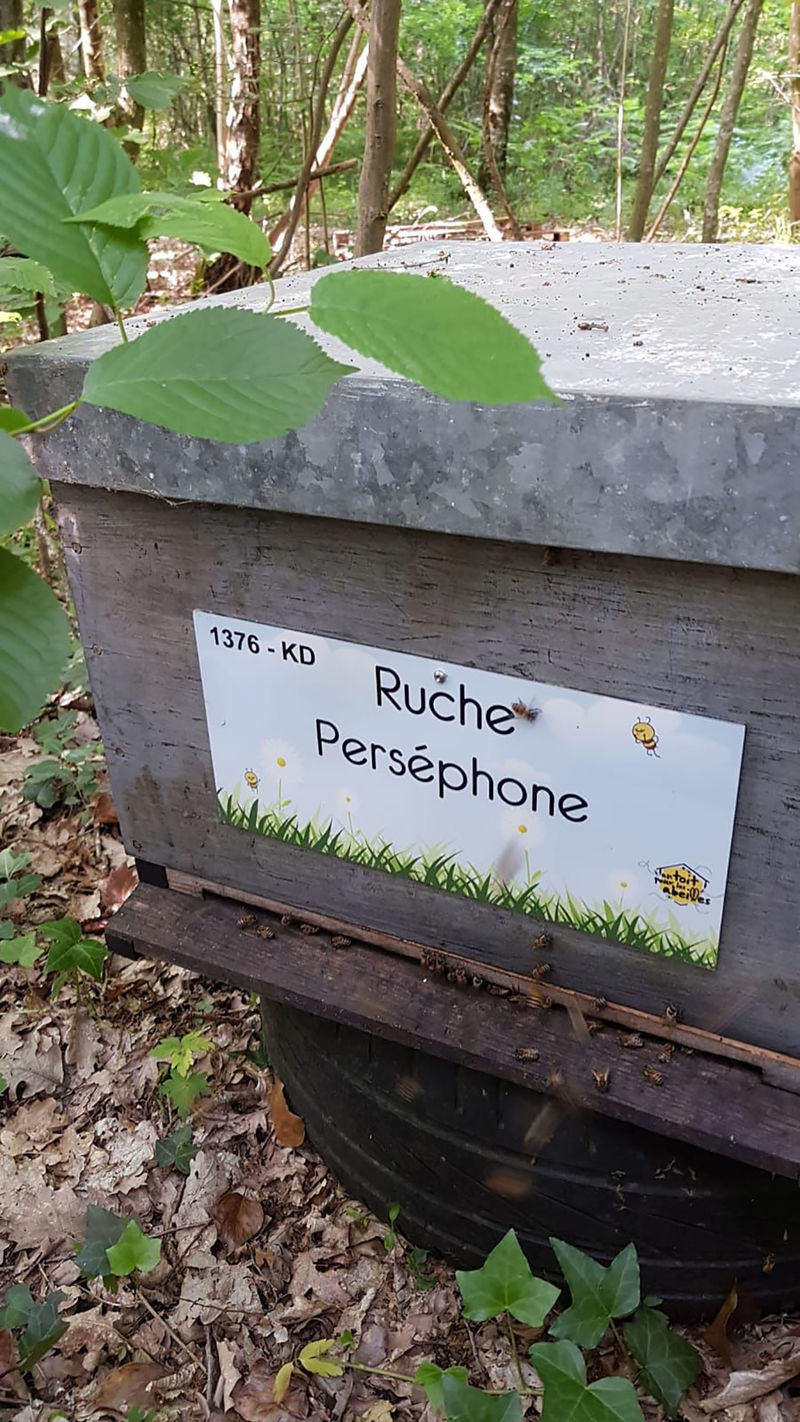 La ruche Perséphone