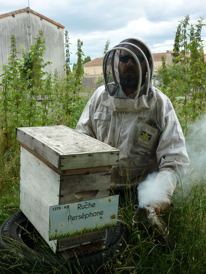 La ruche Perséphone
