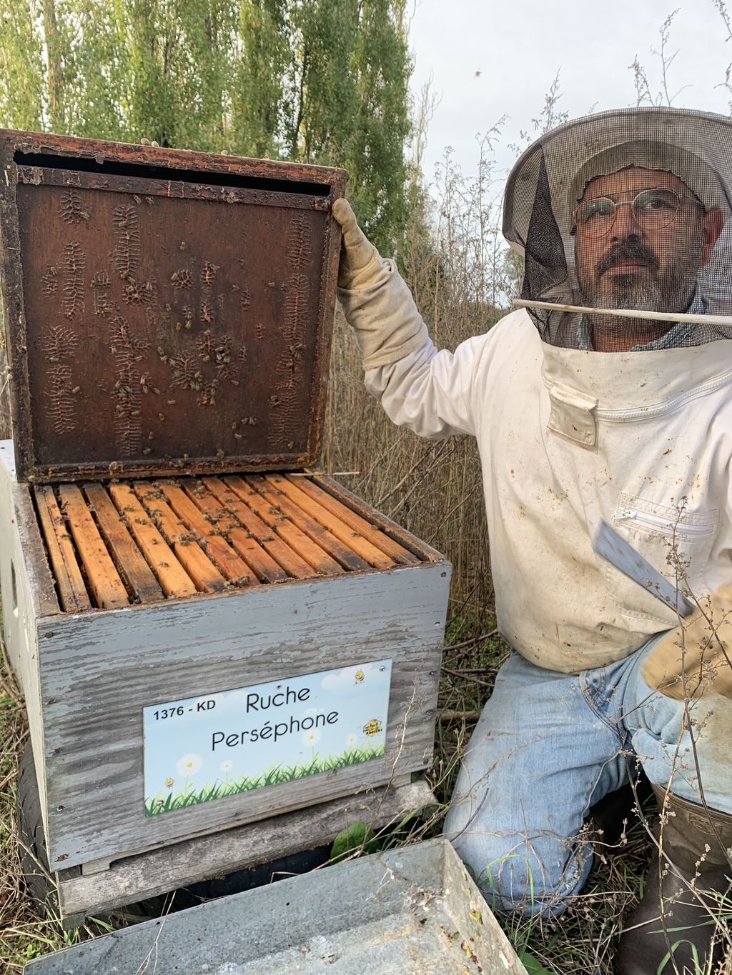 La ruche Perséphone