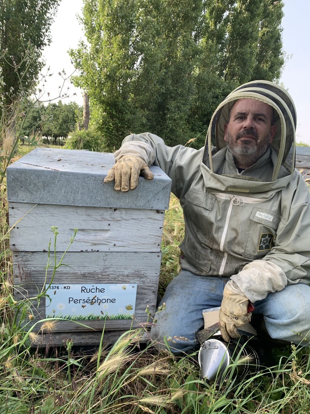 La ruche Perséphone