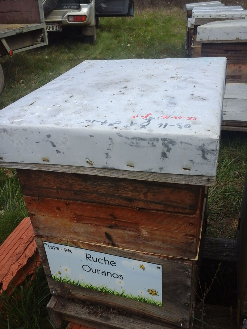 La ruche