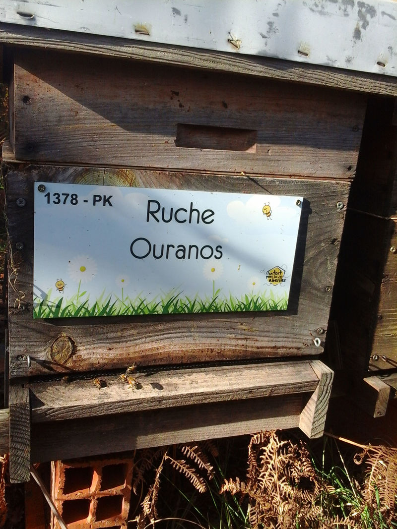 La ruche Ouranos