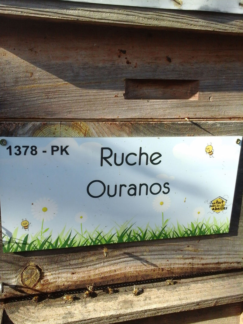 La ruche Ouranos