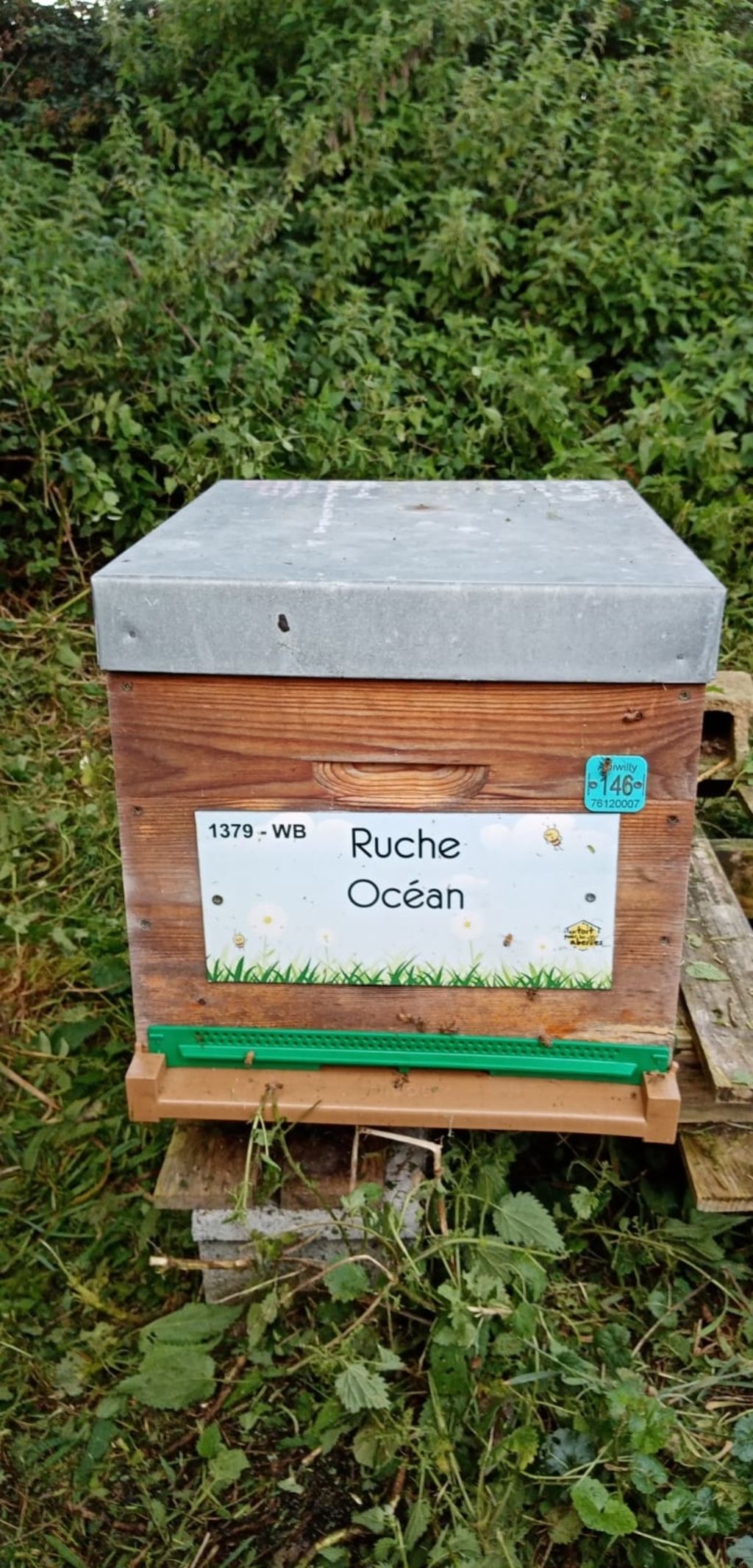 La ruche Océan