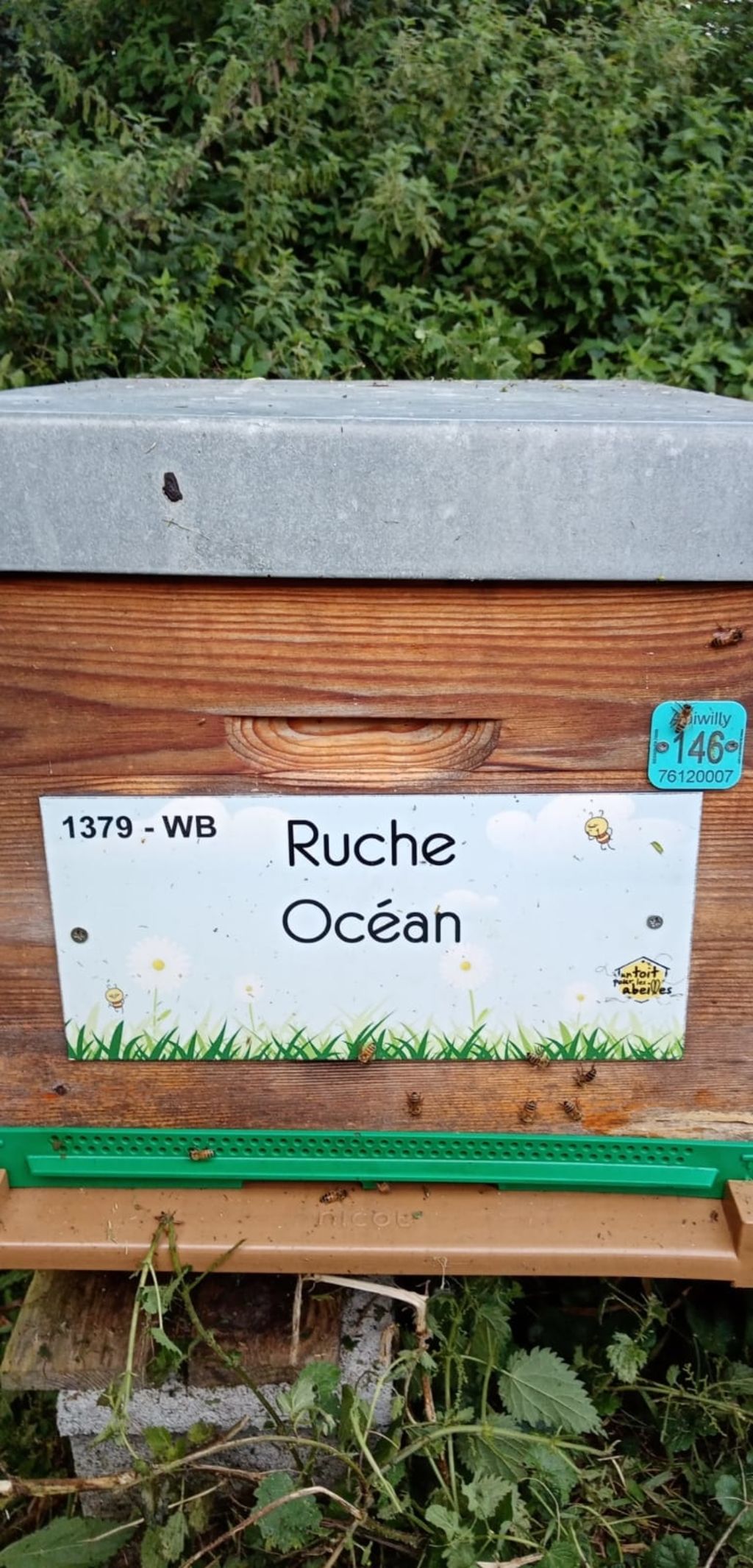 La ruche Océan