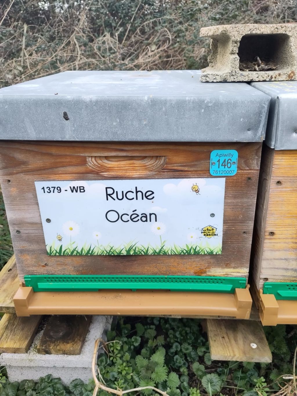 La ruche Océan