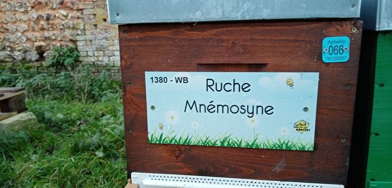 La ruche Mnémosyne
