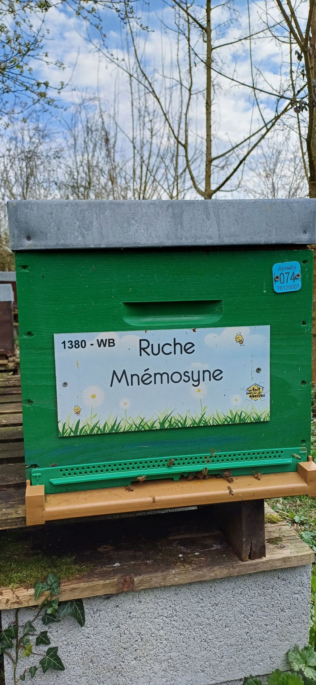 La ruche Mnémosyne