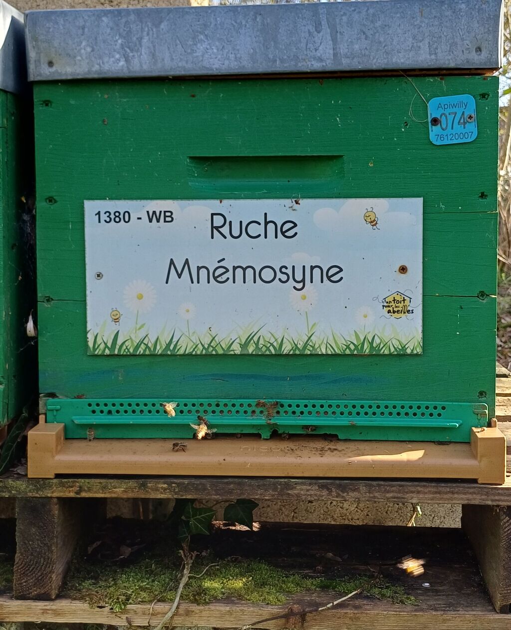 La ruche Mnémosyne