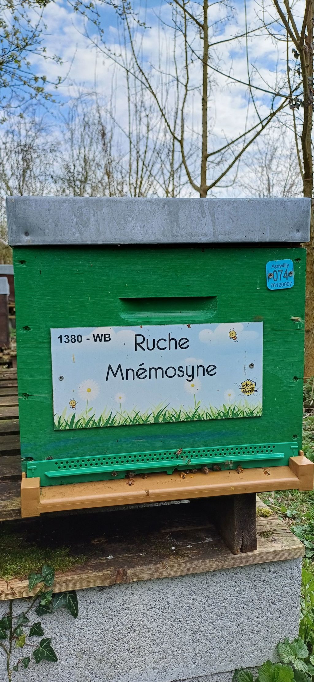 La ruche Mnémosyne