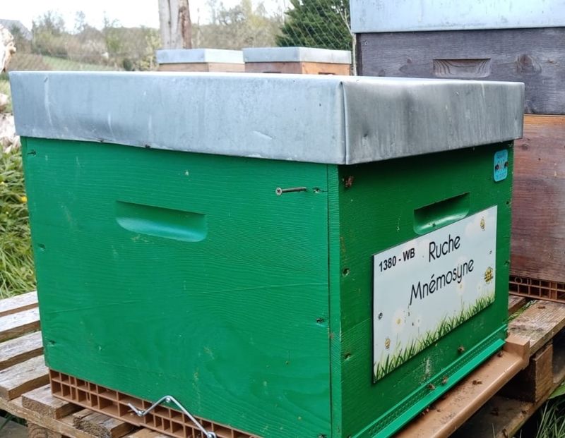 La ruche Mnémosyne