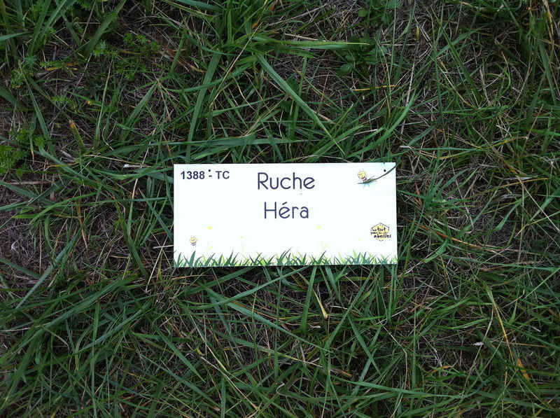 La ruche Héra