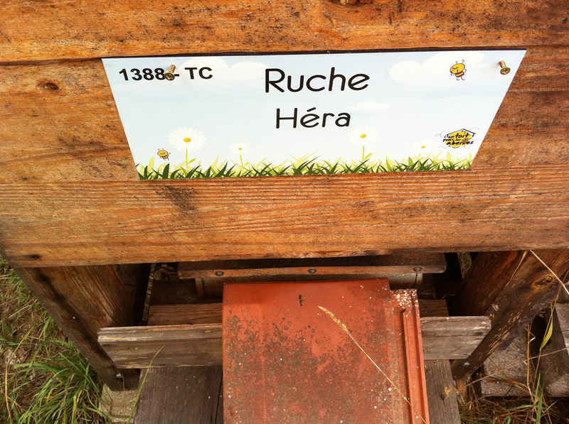 La ruche Héra