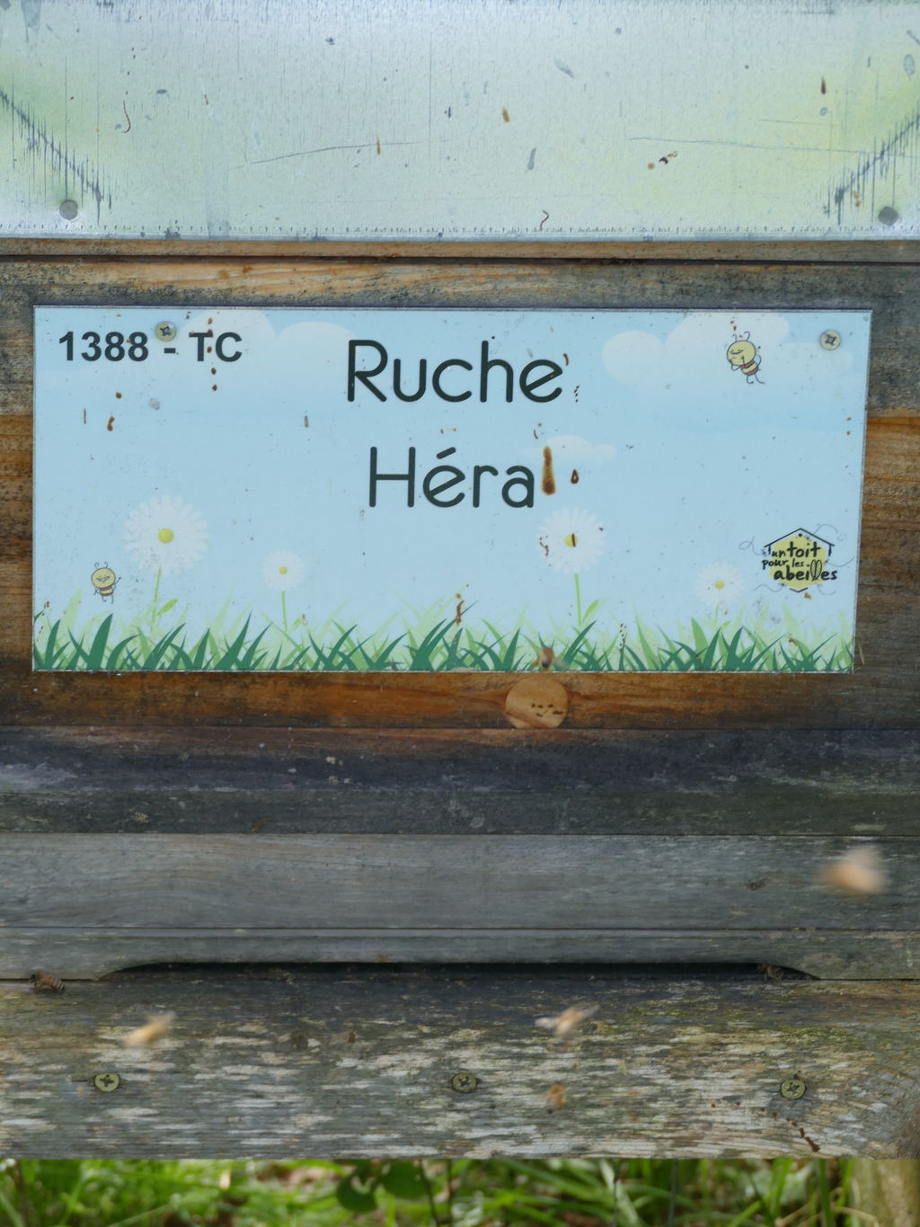 La ruche Héra