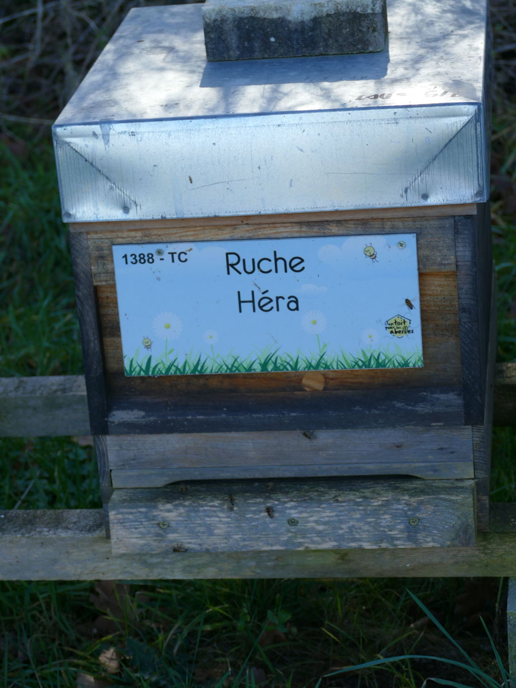 La ruche Héra