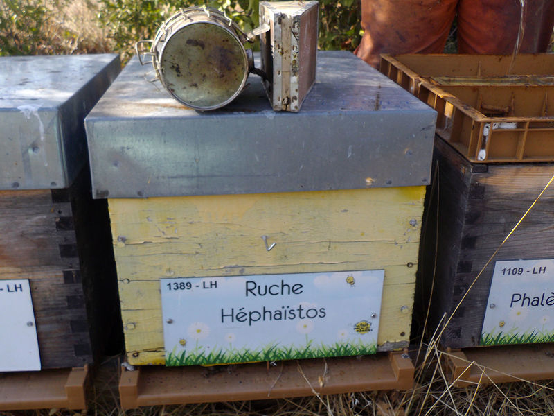 La ruche Héphaïstos