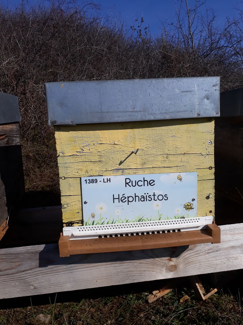 La ruche Héphaïstos