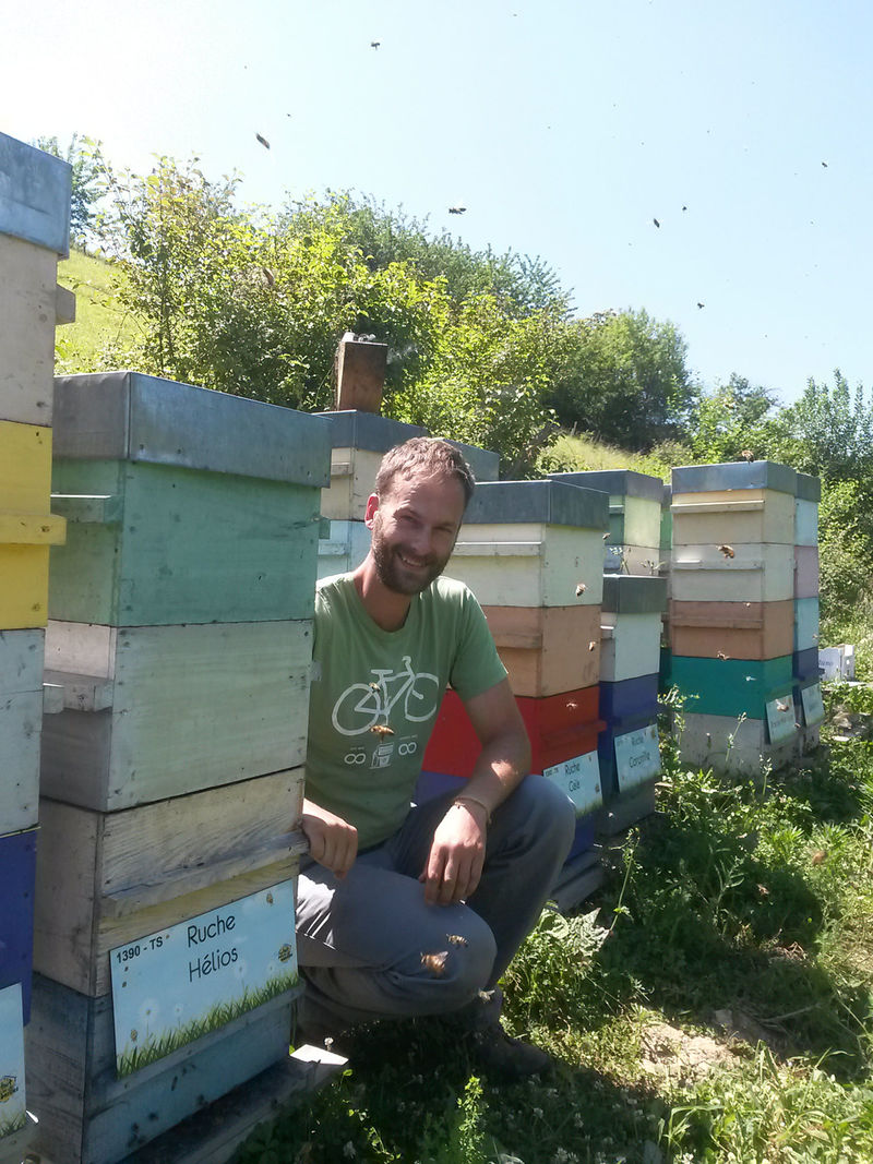 La ruche Hélios