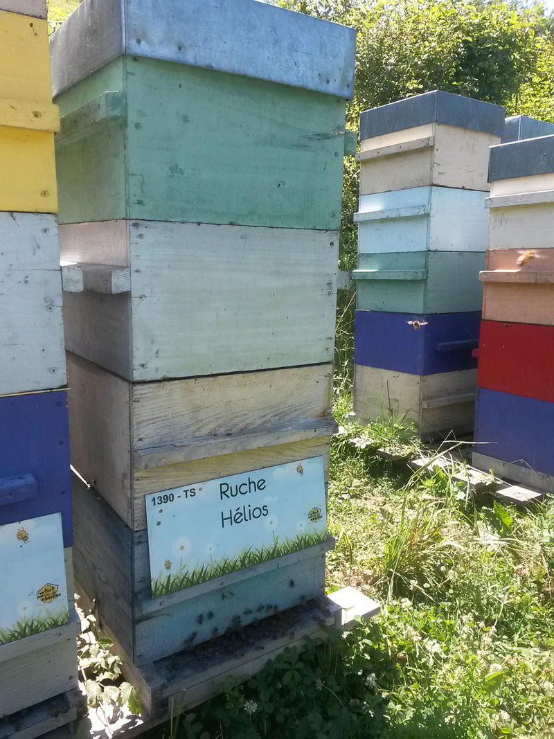 La ruche Hélios