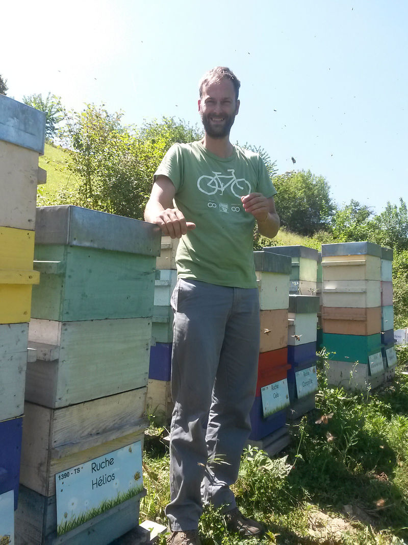 La ruche Hélios