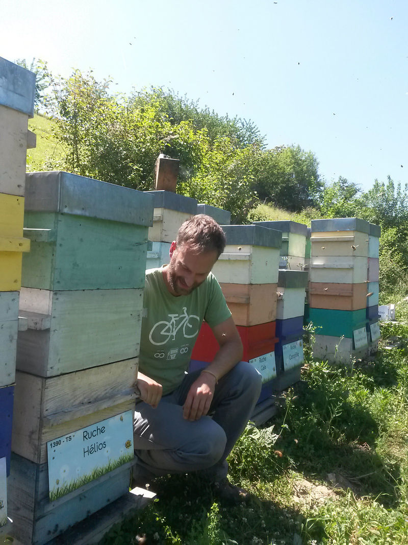 La ruche Hélios