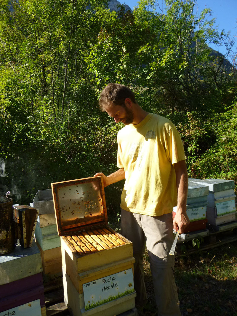 La ruche Hécate