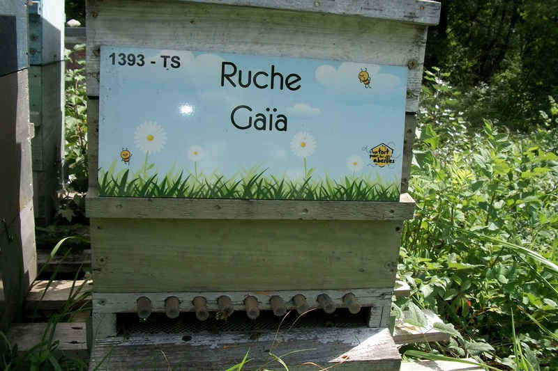 La ruche Gaïa