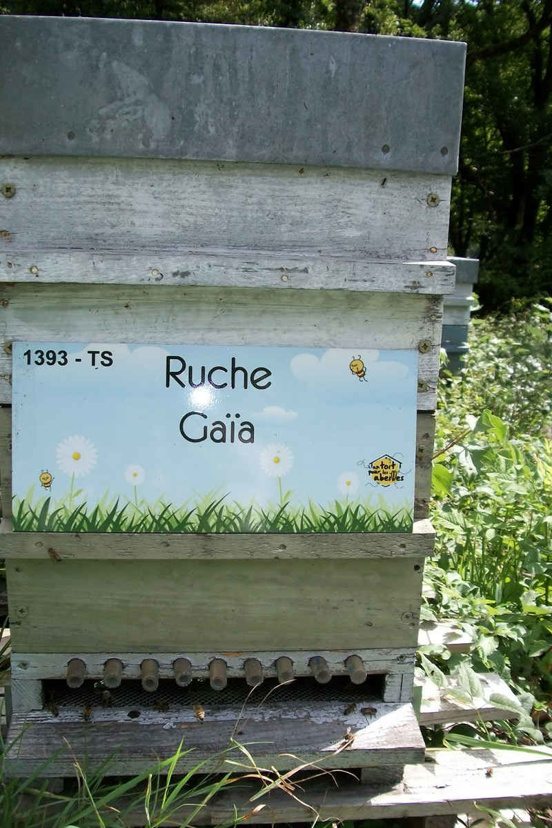 La ruche Gaïa