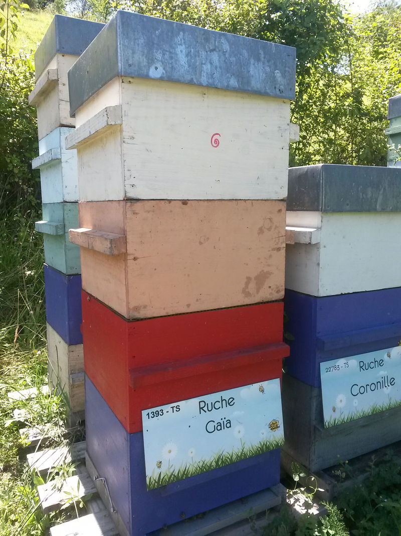 La ruche Gaïa