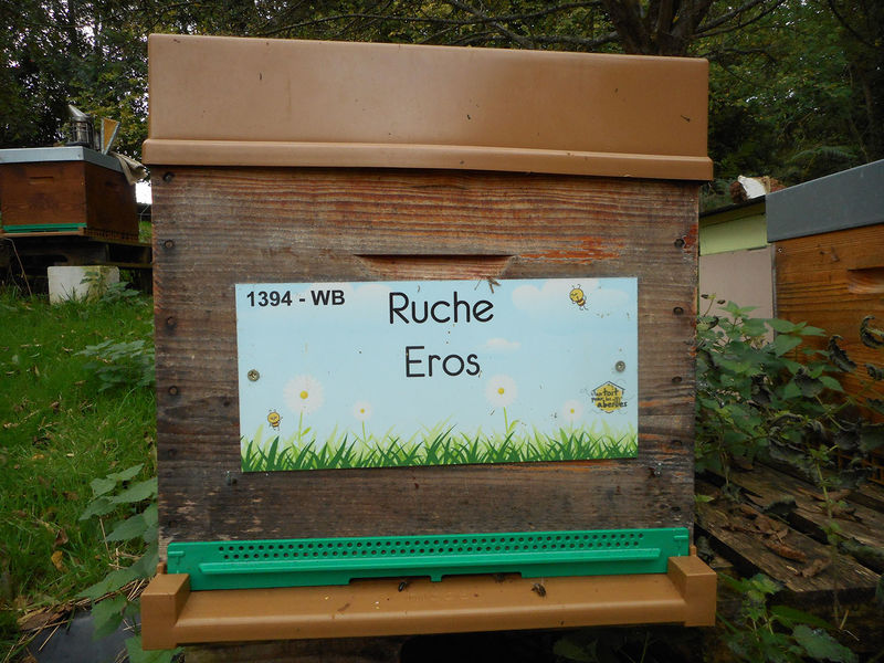 La ruche Eros