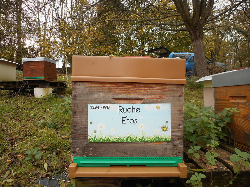 La ruche Eros