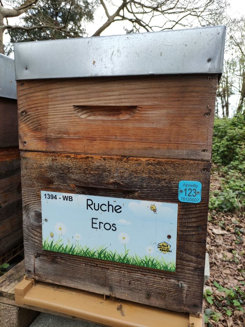 La ruche Eros