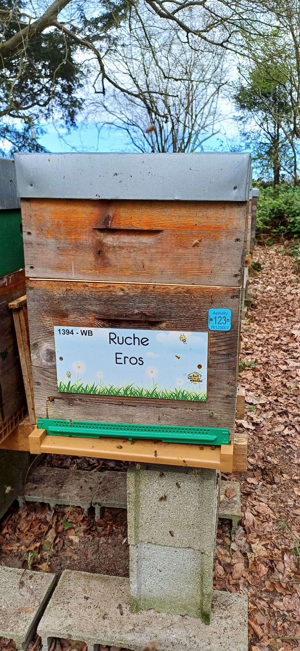 La ruche Eros