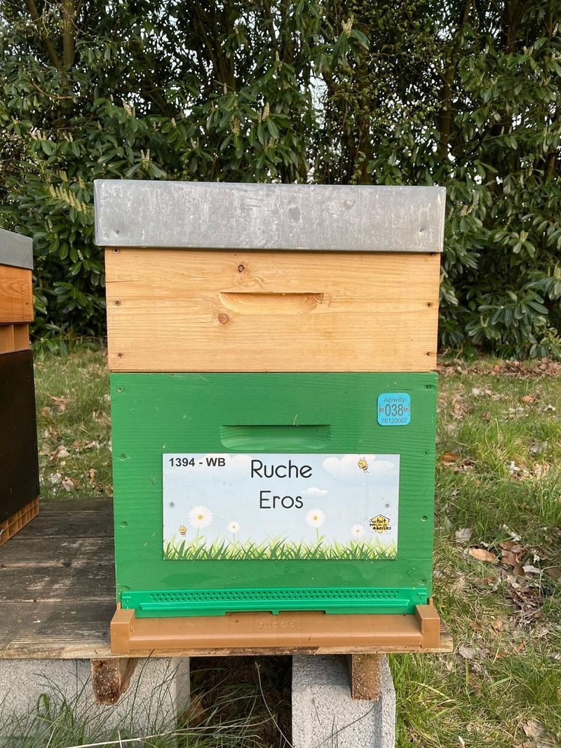 La ruche