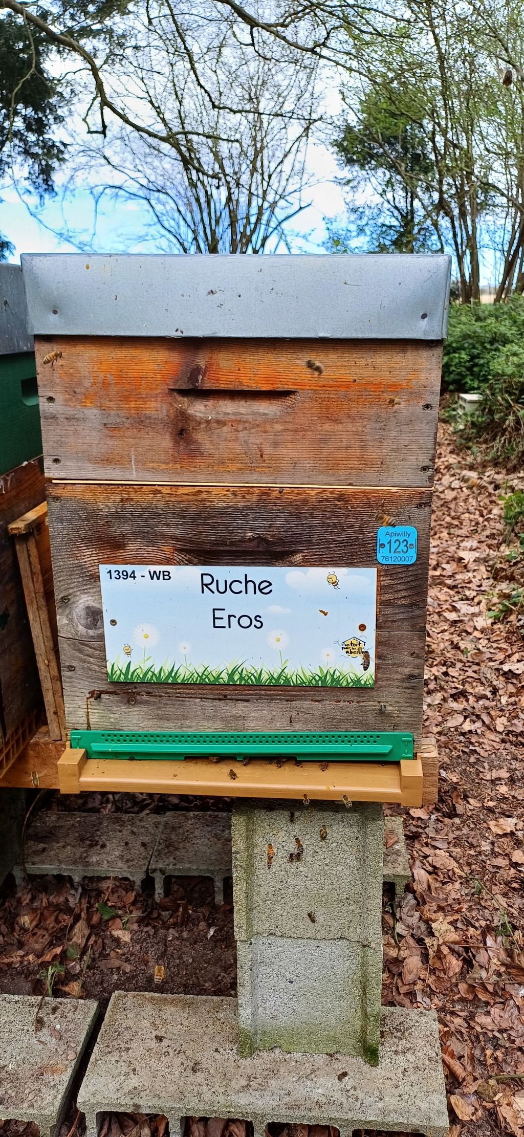 La ruche Eros