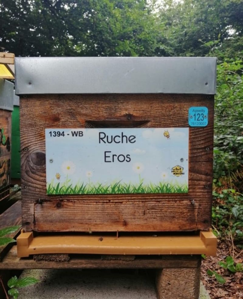 La ruche Eros