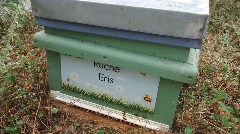 La ruche Eris