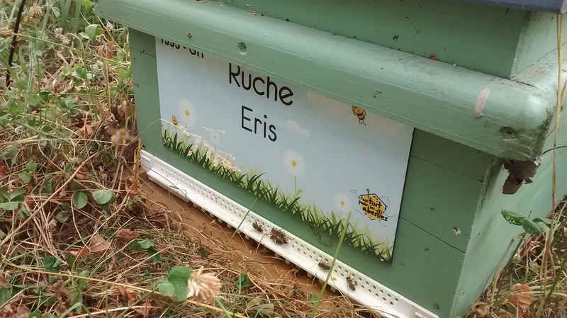 La ruche Eris