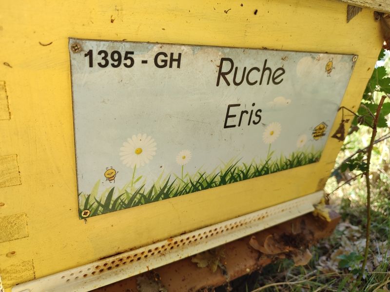 La ruche Eris