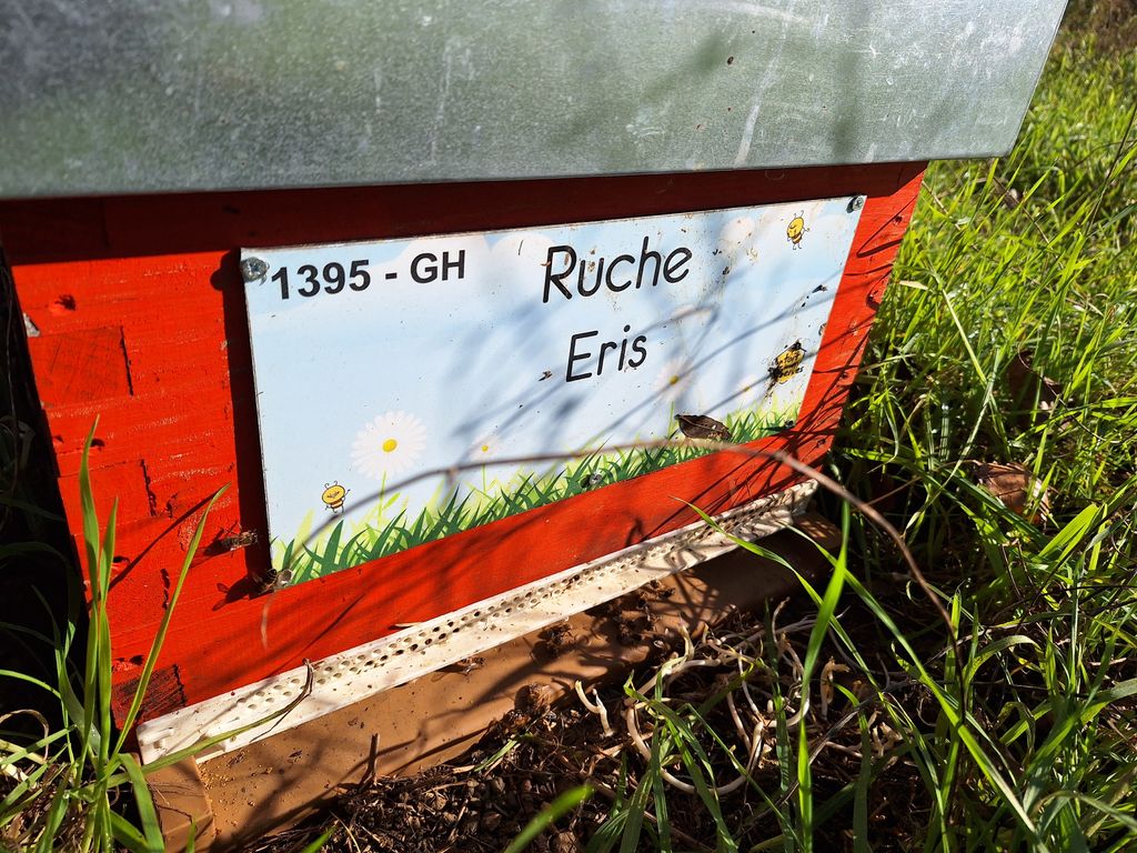 La ruche Eris