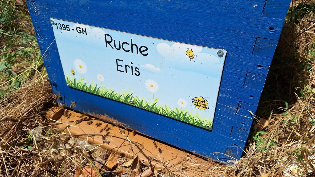 La ruche Eris